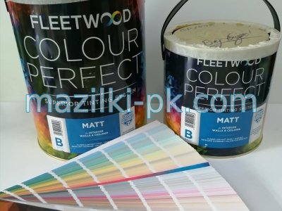 FLEETWOOD INTERIOR MATT - ЛАТЕКС